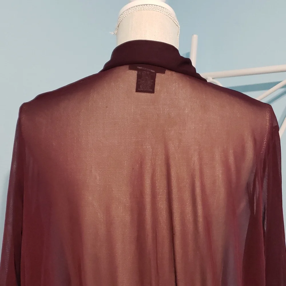 Express Sheer Deep-V Top - Picture 6 of 7